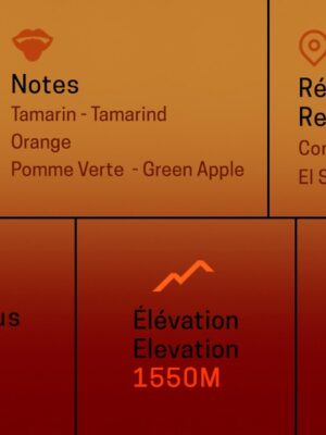 Pacamara Washed - Green