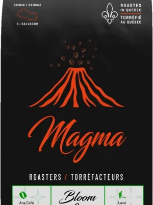 Bloom Lava